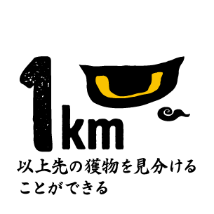 遠くまで見通せる視力